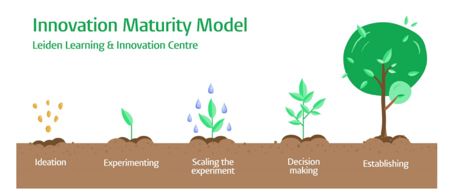 Future Foresight: The Innovation Maturity Model - LLInC